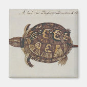 Common Box Tortoise Magneet (Voorkant)