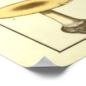  Common Brown Paddenstoelen Kunst Afdrukken Poster (Hoek)