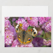 Common BuckeyButterfly Briefpapier (Voorkant / Achterkant)