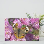 Common BuckeyButterfly Briefpapier (Staand voorkant)