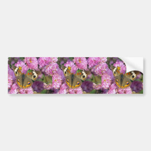 Common BuckeyButterfly Bumpersticker