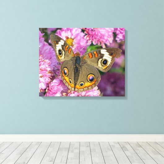 Common BuckeyButterfly Canvas Afdruk (Insitu (Houten vloer))