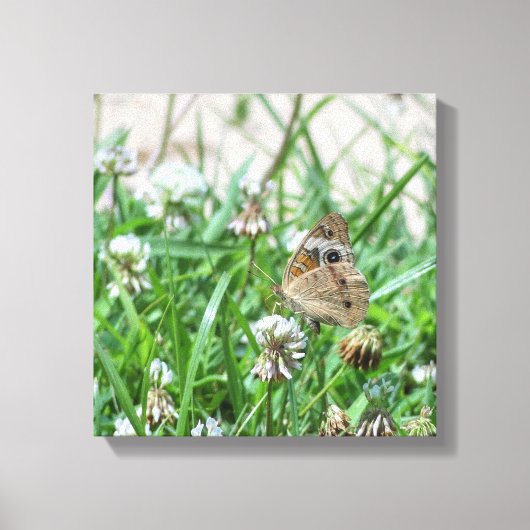 Common BuckeyButterfly Canvas Afdruk (Voorkant)