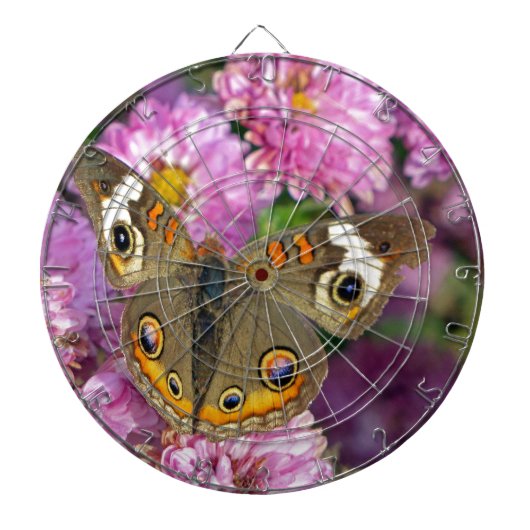 Common BuckeyButterfly Dartbord (Voorkant)