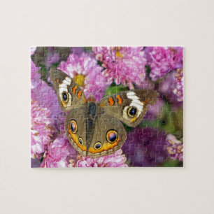 Common BuckeyButterfly Legpuzzel