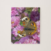 Common BuckeyButterfly Legpuzzel (Verticaal)