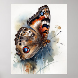 Common Buckeye Butterfly Art Print Poster