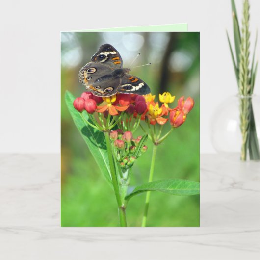 Common Buckeye Butterfly Garden Moederdag Kaart (Voorkant)