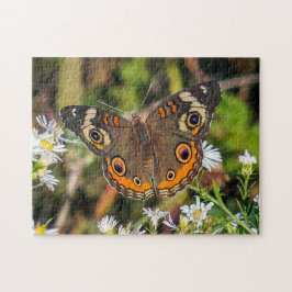 Common Buckeye Butterfly Puzzle Legpuzzel