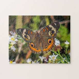 Common Buckeye Butterfly Puzzle Legpuzzel