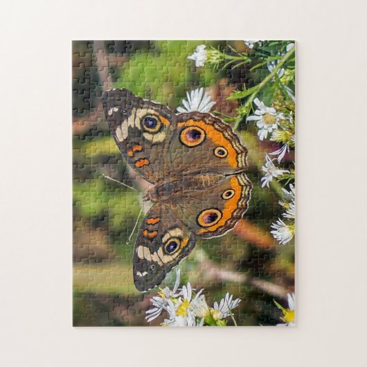 Common Buckeye Butterfly Puzzle Legpuzzel (Verticaal)