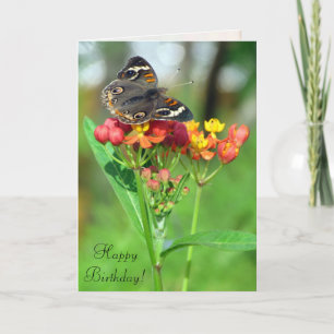 Common Buckeye Butterfly SIL Birthday Kaart
