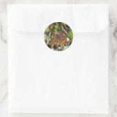 Common Buckeye Vlinder Ronde Sticker (Tas)