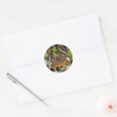 Common Buckeye Vlinder Ronde Sticker (Envelop)