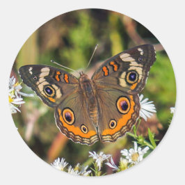 Common Buckeye Vlinder Ronde Sticker