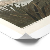 Common Buzzard by Audubon Poster (Hoek)