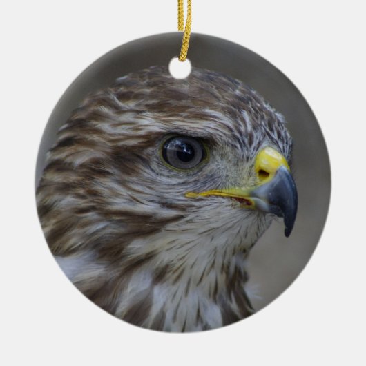 Common Buzzard Portrait Keramisch Ornament (Voorkant)
