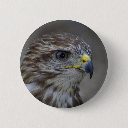 Common Buzzard Portrait Ronde Button 5,7 Cm (Voorkant)