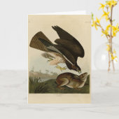 Common Buzzard - van Audubon's Birds of America Kaart (Gele Bloem)