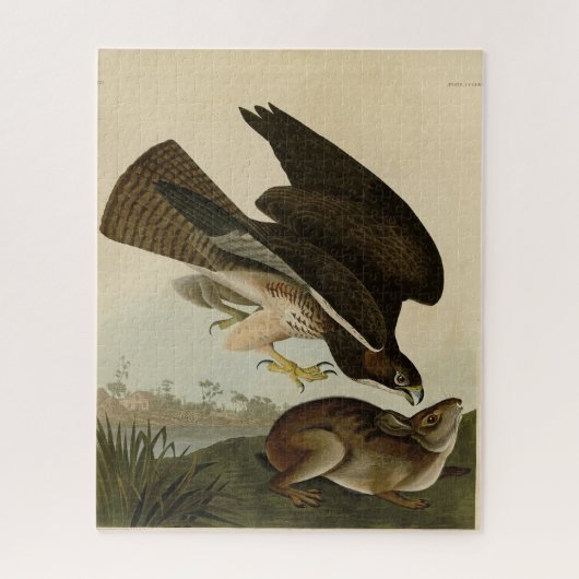 Common Buzzard - van Audubon's Birds of America Legpuzzel (Verticaal)