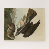 Common Buzzard - van Audubon's Birds of America Legpuzzel (Horizontaal)