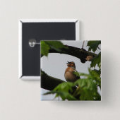 Common Chaffinch Vierkante Button 5,1 Cm (Voorkant /achterkant)