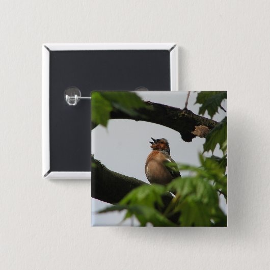 Common Chaffinch Vierkante Button 5,1 Cm (Voorkant /achterkant)