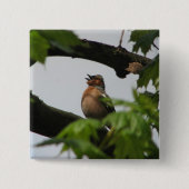 Common Chaffinch Vierkante Button 5,1 Cm (Voorkant)