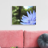 Common Chicory Canvas Print (Insitu (Woonkamer))
