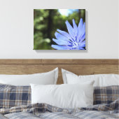 Common Chicory Canvas Print (Insitu (Slaapkamer))