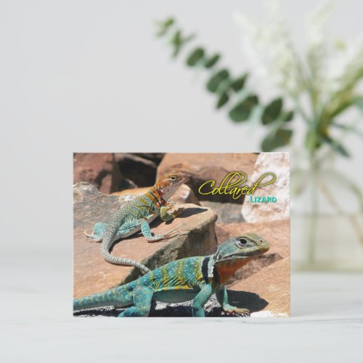 Common Collared Lizard, New Mexico Briefkaart (Staand voorkant)