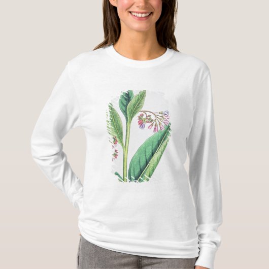 Common Comfrey, bord MCXVI, c.1800 T-shirt (Voorkant)