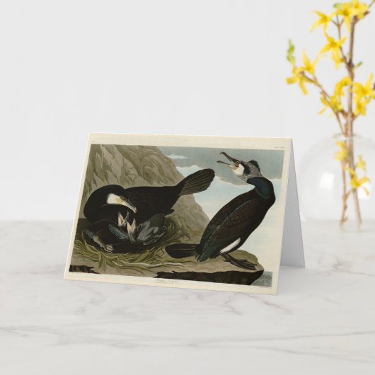 Common Cormorant - van Audubon's Birds of America Kaart (Gele Bloem)