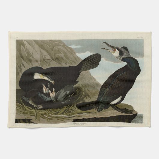 Common Cormorant - van Audubon's Birds of America Theedoek (Horizontaal)