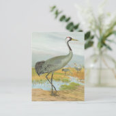 "Common Crane" Briefkaart (Staand voorkant)