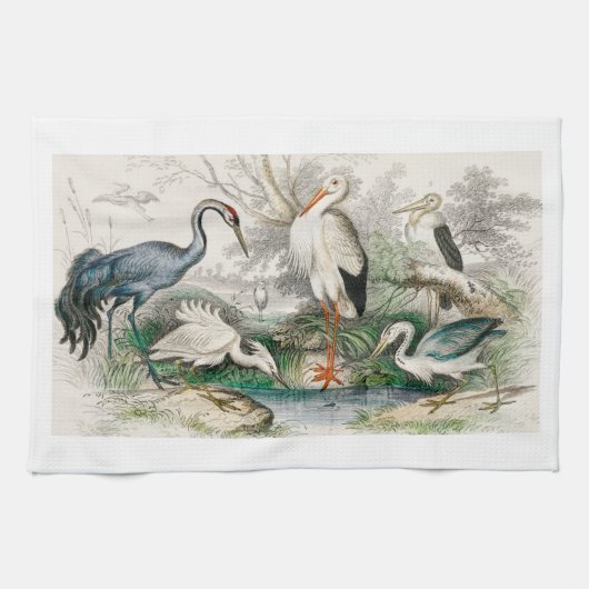 Common Crane, White Stork, Gigantic Crane, Vaak Theedoek (Horizontaal)