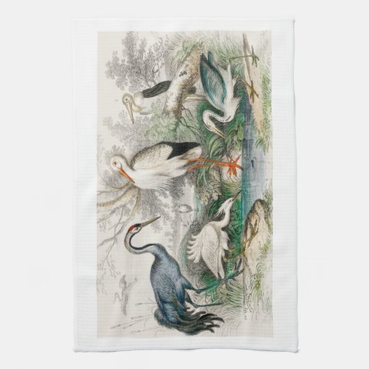 Common Crane, White Stork, Gigantic Crane, Vaak Theedoek (Verticaal)