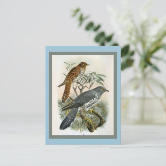 Common Cuckoo  Bird Illustration Briefkaart (Staand voorkant)