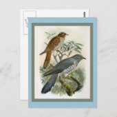 Common Cuckoo  Bird Illustration Briefkaart (Voorkant / Achterkant)