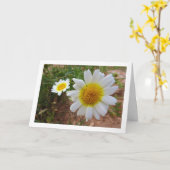 Common Daisies Portret Kaart (Gele Bloem)