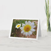 Common Daisies Portret Kaart (Voorkant)