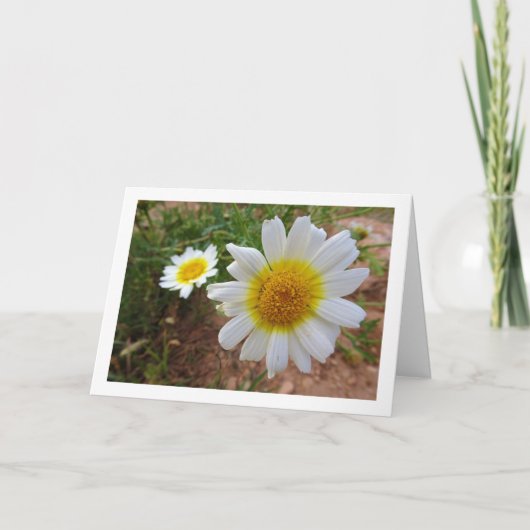 Common Daisies Portret Kaart (Voorkant)