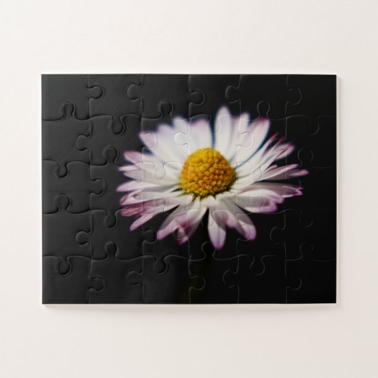 Common Daisy 11x14 30pc jpcn Legpuzzel (Horizontaal)
