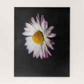 Common Daisy 16x20 520pc jpcn Legpuzzel (Verticaal)