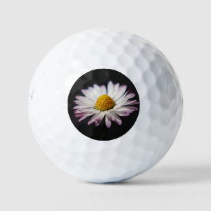 Common Daisy be6 gbcnm Golfballen