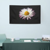 Common Daisy BNRCNM Spandoek (Beurs)