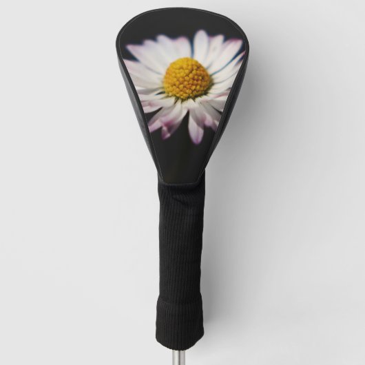 Common Daisy DCCNA Golfheadcover (Voorkant)