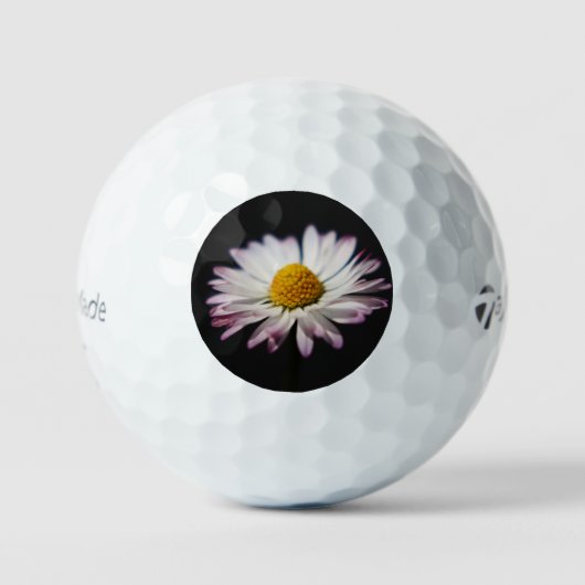 Common Daisy tmtp5 gbcnm Golfballen (Voorkant)
