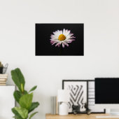 Common Daisy wapcna Poster (Thuiskantoor)