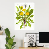 Common Dandelion - Sue Abonyi Poster (Thuiskantoor)